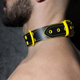 Addicted Leather Collar (ADF44)