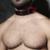 Addicted Leather Collar (ADF44)